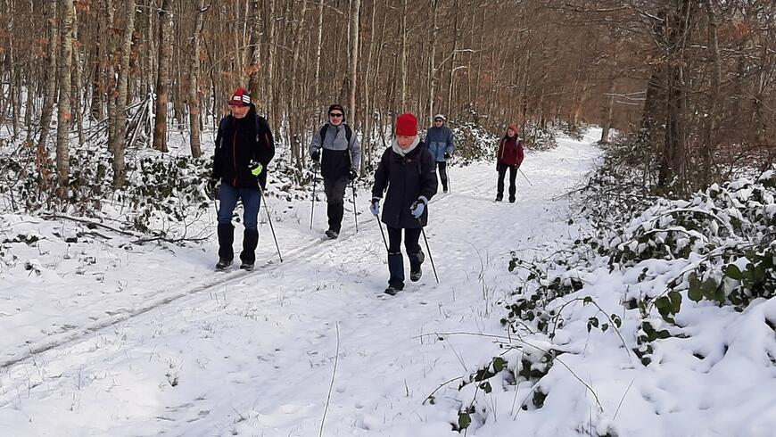 Dans une allée du bois Dans une allée du bois